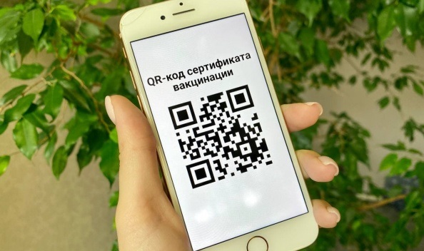 2/3 россиян отрицательно относятся к введению QR-кодов для посещения общественных мест