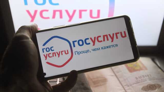Телефонные мошенники начали обманывать россиян с помощью «Госуслуг»