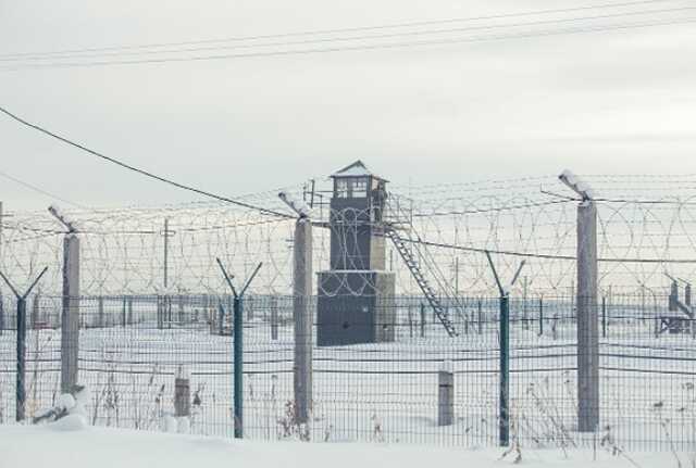 По факту пыток заключенных в саратовской колонии возбудили 20 уголовных дел