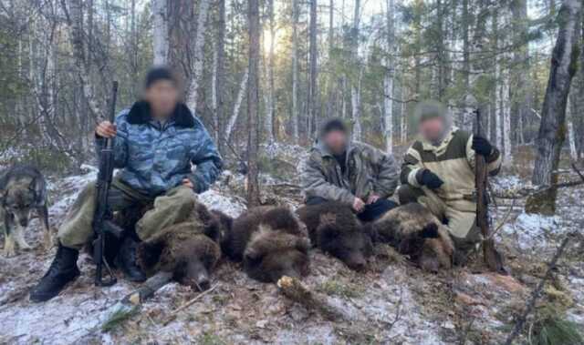 Браконьеры поставляют медвежат в ресторан Агаларова и Лепса