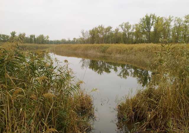 Прокурор помог отдать в частные руки кубанскую балку Водяная