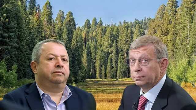 Кто на "Илим": Евтушенков "схлестнётся" с Зингаревичами?