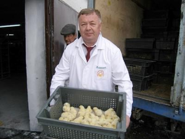 Вадим Николаев выводил цыплят из бюджета республики