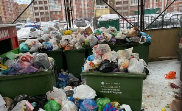 Как крысы оказались виноваты в провале мусорной реформы в Санкт-Петербурге