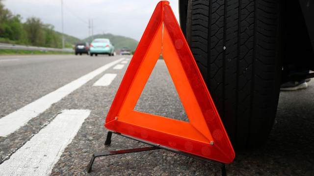 При столкновении рейсового автобуса и грузовика пострадали 12 россиян