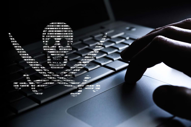 Россиян предупредили об опасности пиратской Windows