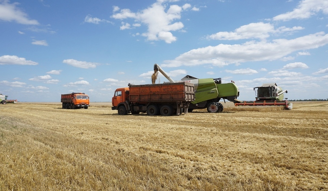 Прокуратура заинтересовалась скандалом с арендой земель в Курганской области компанией «Агроинвест»