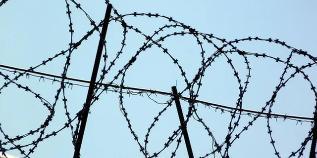 Заключенный российской колонии лишился руки на производстве макарон