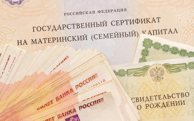 В Ростовской области мошенники забрали у женщин материнский капитал на 300 миллионов