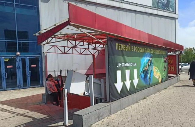 «Концлагерь с черепахой». Прокуратура нашла нарушения на выставке животных в Красноярске