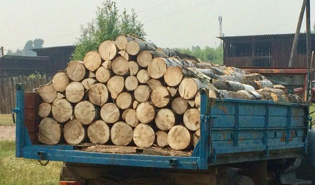 В Молдове людям запретили возить дрова ночью
