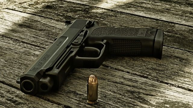Проживающим в Латвии россиянам и белорусам могут запретить хранить оружие