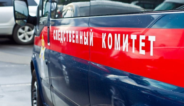 В Петербурге социальная няня оттаскала за волосы девочку-инвалида. СК проводит проверку