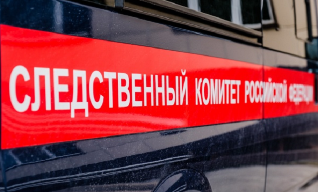 Активистку «Партии мертвых» после обысков ФСБ увезли к следователю