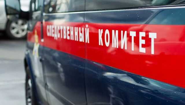 В российском регионе нашли груду костей во время выкапывания ямы для туалета
