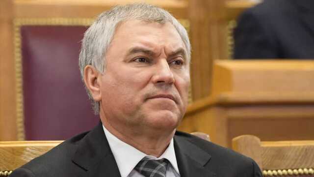 В комитете Госдумы ответили на слова Володина о базе пересекающих границу