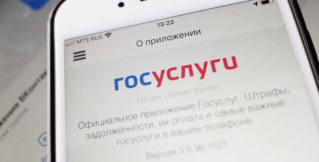Подать жалобу на нарушения при мобилизации теперь можно через Госуслуги