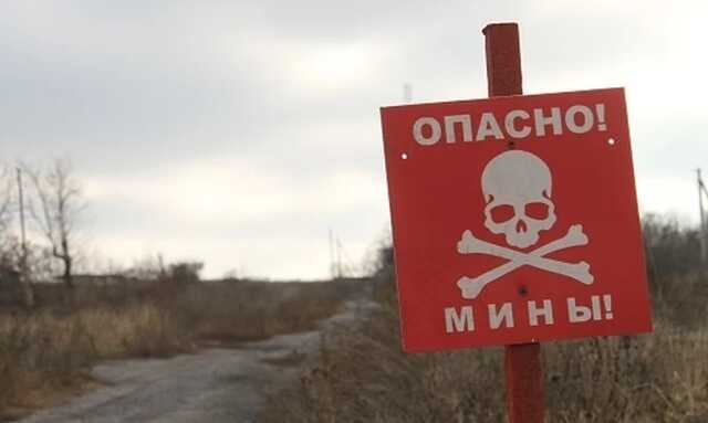 Наступившему на мину жителю Белгородской области оторвало ступню