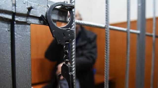 Россиянина осудили на 18 лет колонии за изнасилование маленьких дочерей