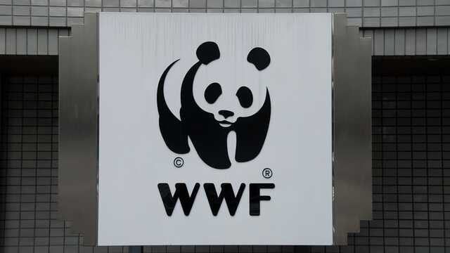 Власти Чукотки разорвали отношения с WWF, заявив что его финансируют "враги России"