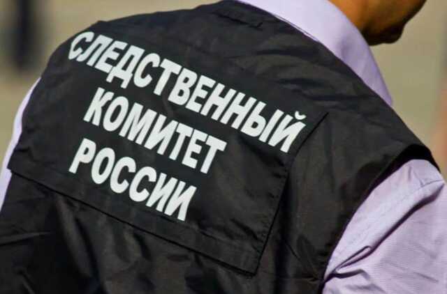 В российском регионе на свалке нашли тело младенца