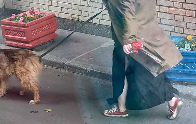 В Отрадном жители пожаловались на соседку, которая дрессирует собаку пинками