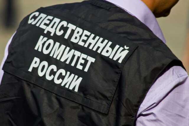В российском городе рядом с детсадом нашли части тел животных