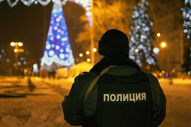 МВД России оценило обстановку в новогоднюю ночь