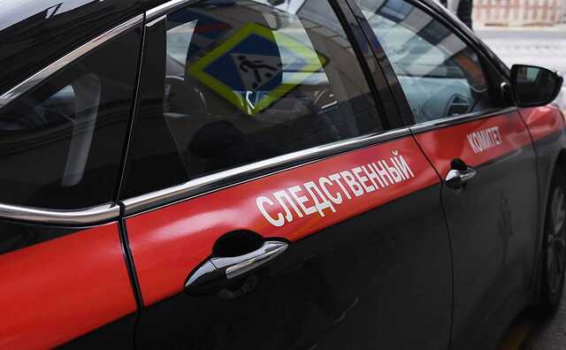 Россиянка убила 10-летнюю дочь и покончила с собой