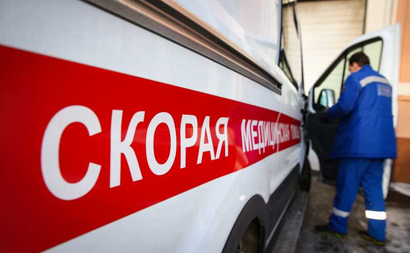 Россиянка попала в больницу с кровоизлиянием в мозг после встречи с пони