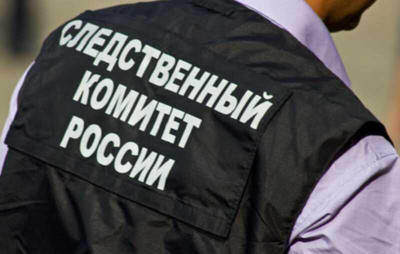 Под Москвой мужчина во время прогулки в лесу нашел мертвую 14-летнюю школьницу