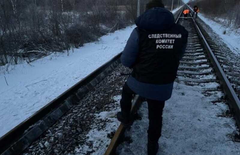 Под Москвой поезд насмерть сбил возвращавшуюся со свидания девятиклассницу