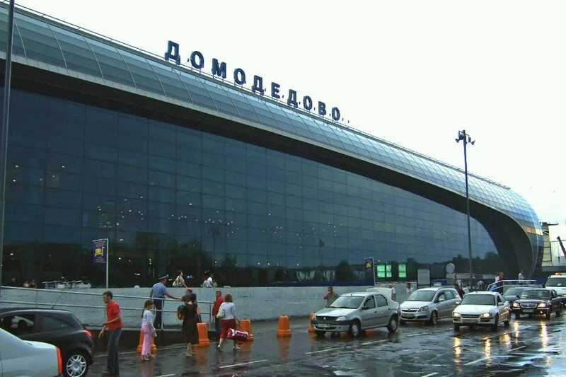 Голый дебошир на взлетной полосе в Домодедово объяснил свое поведение