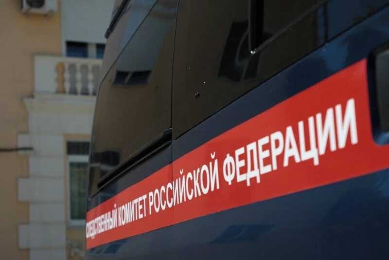 Россиянин вонзил в брата металлический шампур и попал под следствие