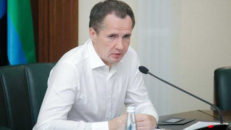 Разворошил гнездо: как пиарщики "отравили" губернатора Гладкова