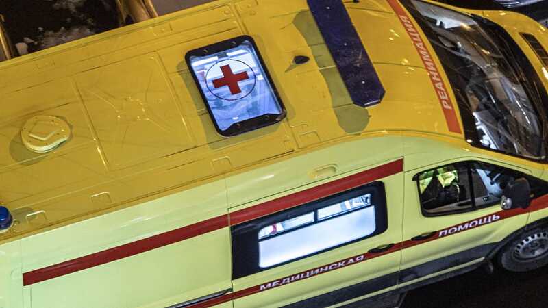 Россиянку убило спиленным ее сожителем деревом