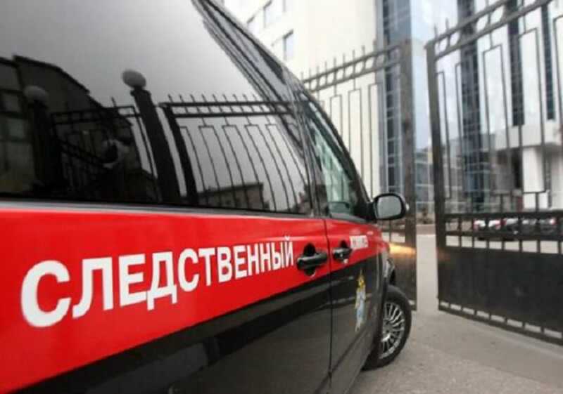 СКР возбудил дело в отношении россиянина за нападение на охранника парка