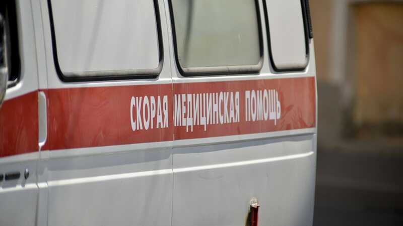 Подросток разбился насмерть при падении с десятиметрового дерева в Новокузнецке