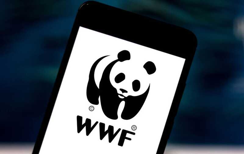 WWF России будет оспаривать статус иноагента в суде и не планирует приостанавливать работу