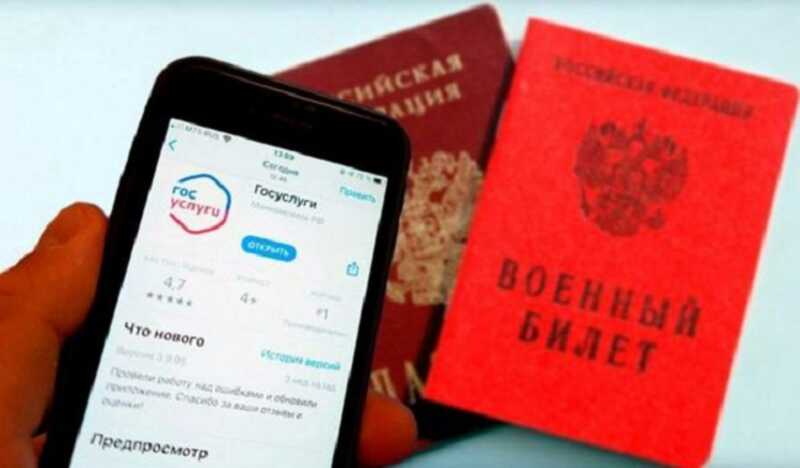 Картаполов допустил рассылку электронных повесток весной