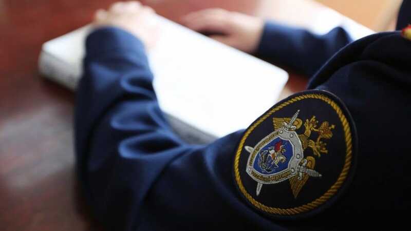 СК начал проверку после нападения российской блогерши на медсестру