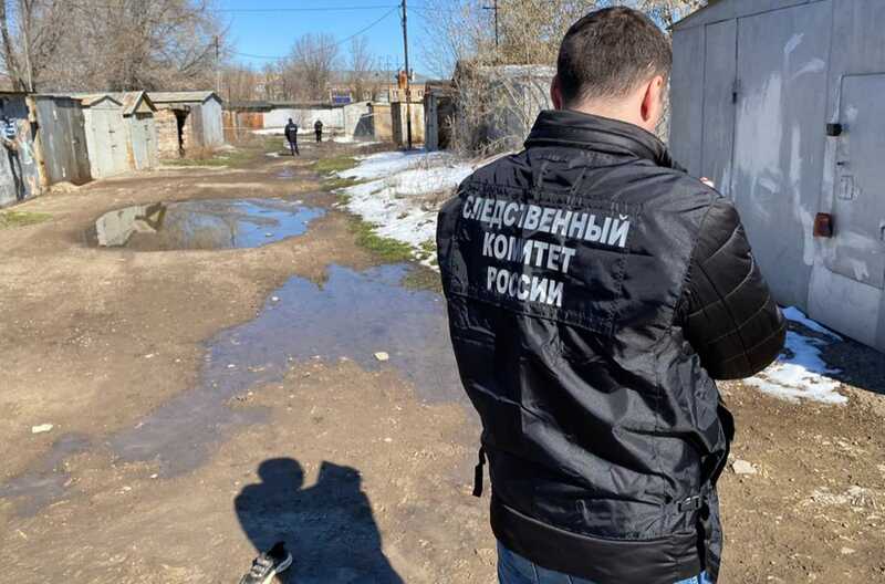 Растерзанный бродячими псами мальчик из Оренбурга оказался детдомовцем