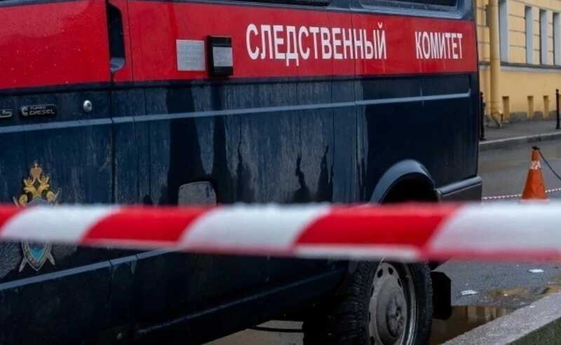 Следователи возбудили дело после исчезновения трехлетней девочки в Подмосковье