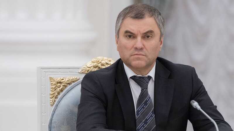 Володин выступил за ограничение дистанционного обучения в школах России