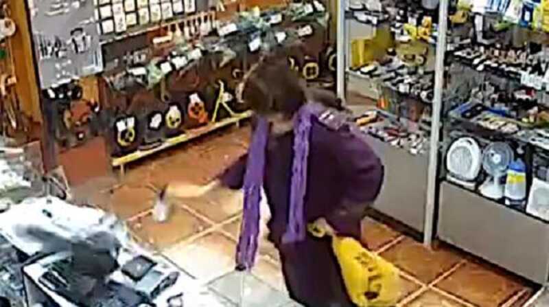 Россиянка разгромила топором магазин и попала на видео