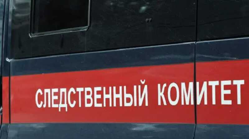 В России займутся расследованием казни военнопленных французскими наемниками