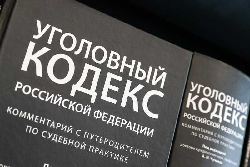 В Госдуме анонсировали разработку нового Уголовного кодекса