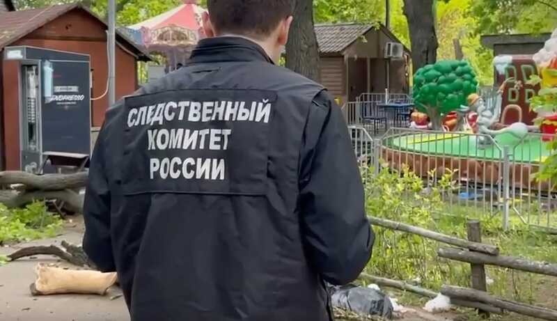 Из-за гибели ребенка и женщины при падении дерева в Саратове возбудили дело