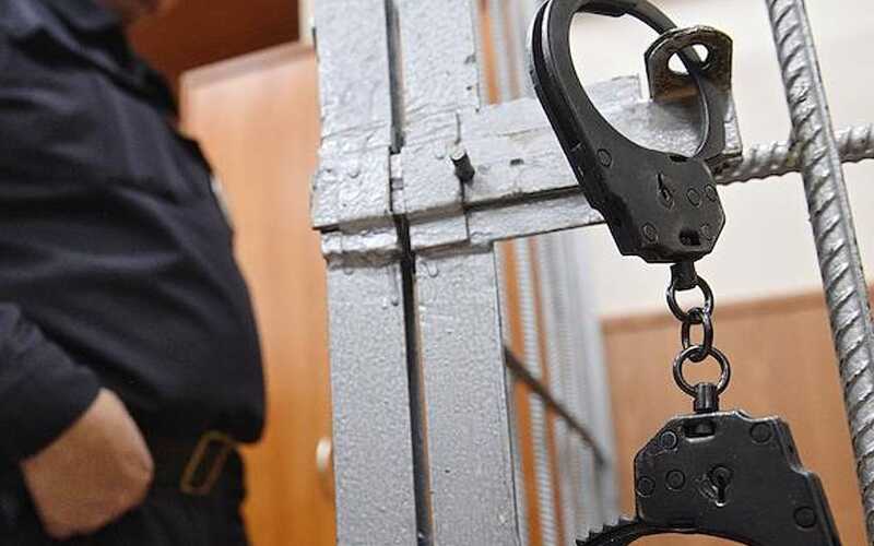 Россиянина осудили на пять лет за истязание маленьких детей в течение десяти лет