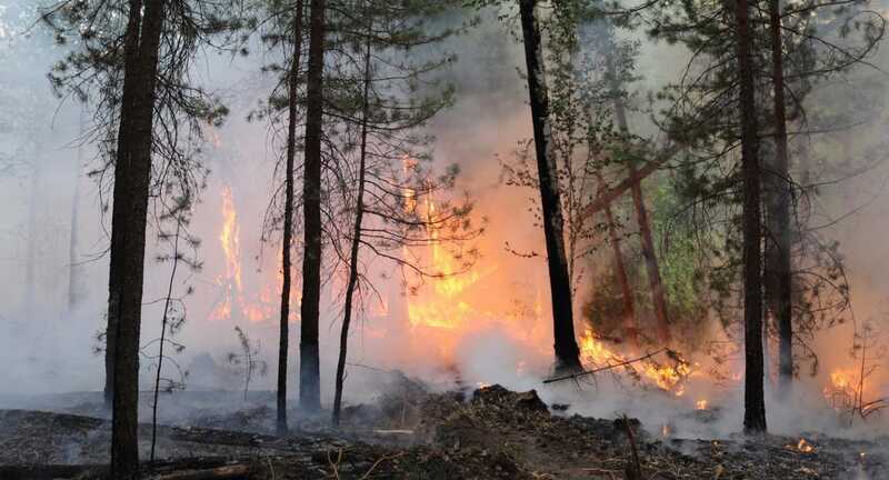 Власти Зауралья переложили ответственность за пожары на энергетиков